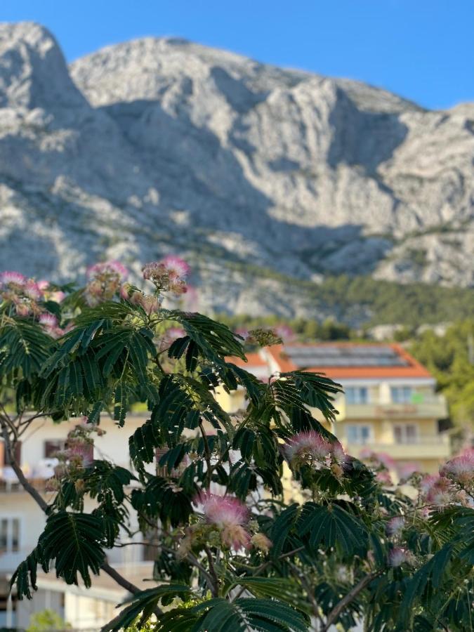 Heaven'S View Apartments Baška Voda Exteriör bild